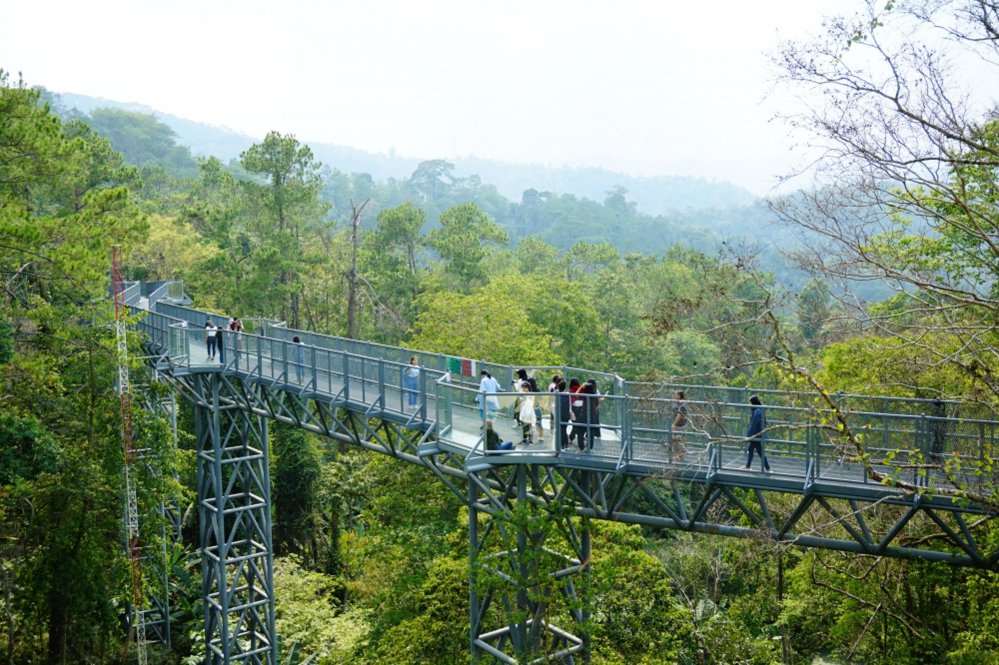 Queen Sirikit Botanic Garden