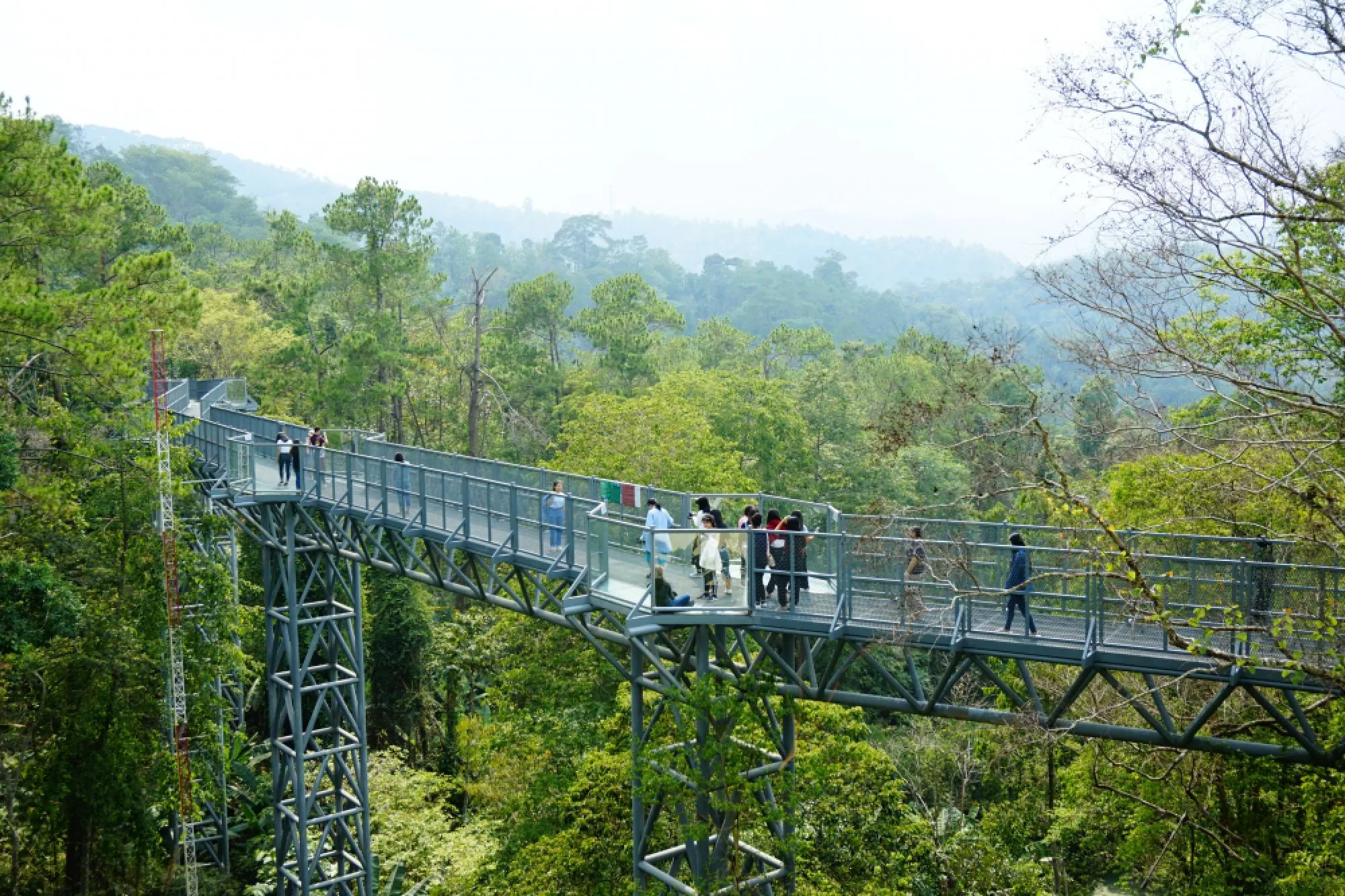 Queen Sirikit Botanic Garden
